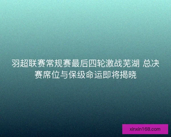 羽超联赛常规赛最后四轮激战芜湖 总决赛席位与保级命运即将揭晓